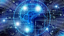 Masa Depan Teknologi Komputer: Studi Terbaru Penggunaan Sel Otak Manusia